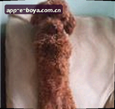 张浩